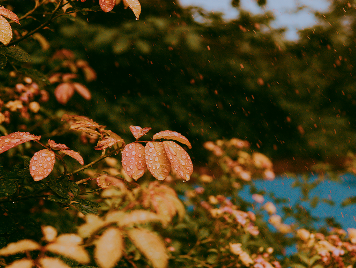 The smell of rain