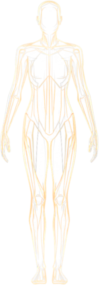 Anterior whole-body anatomical outline; the right lower leg is the region shown in the chart